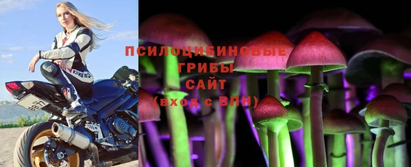 прущая мука Алзамай
